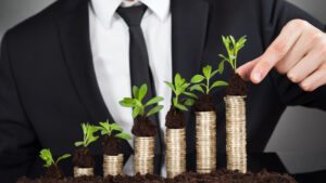 Nachhaltige Investitionen